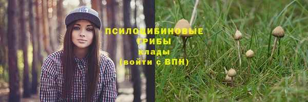 спайс Алексеевка