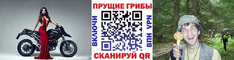 Псилоцибиновые грибы ЛСД  Катав-Ивановск 